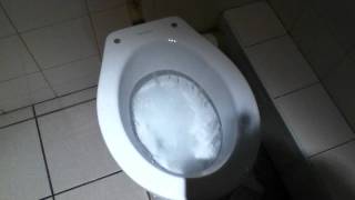 Powerful VilleroyampBosh toilet on Flushometer [upl. by Anana]