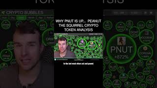 Why PNUT Is Up 🤩 Peanut the Squirrel Crypto Token Analysis [upl. by Ysabel256]