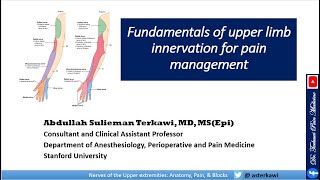 Fundamentals of Upper Limb Innervation for Pain Management [upl. by Novelia]