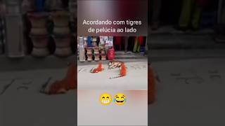 Acordando com tigres de pelúcia ao lado [upl. by Emilie]