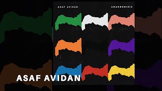 Asaf Avidan  Indifferent Skies Official audio [upl. by Tsui]