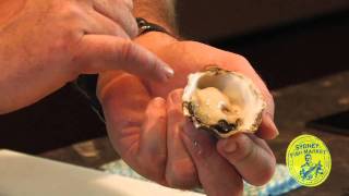 How to shuck an Oyster [upl. by Anjanette98]