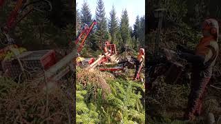 Kranman Processor P25 LessMB 🌲🇨🇿forestry logging farming hasqvarna lkt stihl [upl. by Anirazc]