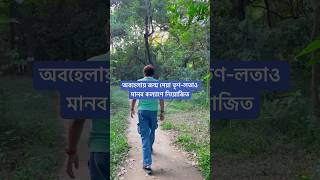 অবহেলায় জন্ম নেয়া তৃণলতাও মানুষের কল্যাণ্যে নিয়োজিত। [upl. by Nuoras]