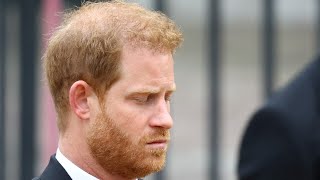 Prince Harry’s barring from Trooping the Colour would have hurt him’ [upl. by Inga]