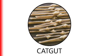 CATGUT [upl. by Ecidnarb]