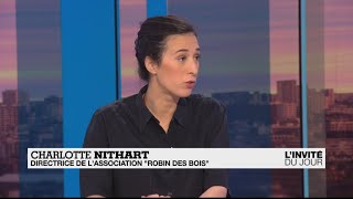 quotL’Europe a un rôle à jouer dans la défense des éléphantsquot [upl. by Letha]