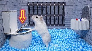 Hamster Escape Prison Maze 🛑Live Stream [upl. by Ahseal258]