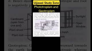 Phototropism and Geotropism ujjawalstudyzone motivation cbse [upl. by Varney]