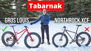 Gros Louis 3 Fatbike vs Northrock XCF Fat Bike Review [upl. by Brookes]