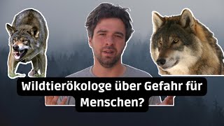 Wölfe in Deutschland  Gefährlich für Menschen [upl. by Ylellan457]