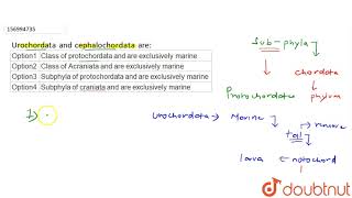 Urochordata and cephalochordata are [upl. by Aed653]