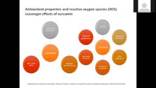 The power of Curcumin – introducing Longvida [upl. by Connolly626]