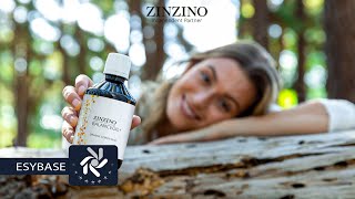 Zinzino  Balance Oil Omega3 [upl. by Wallis526]