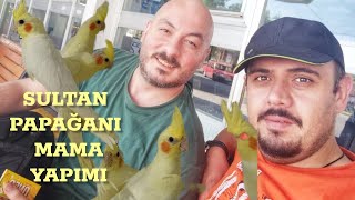 Sultan Papaganlarına Tohum Filizlendirmeli Mama Yaptık l Içine Neler Koyduk l Vlog [upl. by Aim]