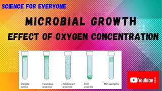 Effect of Oxygen Over Microbial Growth  Detailed Explanations  Reasons [upl. by Delora839]