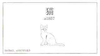 猫  a1857【BinTRoLL切り抜き】【a1857 channel】 [upl. by Marris]