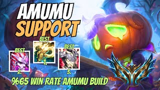 Amumu Support Guide  Amumu Guide  Guide of League Of Legends [upl. by Oigroig540]