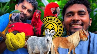 🔥ஏலகிரி சுற்றுலா  YELAGIRI FUNDERA PARK  TTF VASAN  LOVE BIRDS  PET ANIMALS  7D THEATRE  K7 [upl. by Corbin]