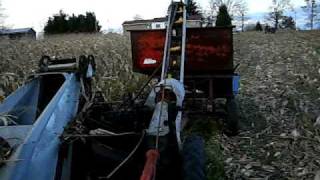 New Idea 10 corn picker with Farmall 300 [upl. by Gnilsia788]