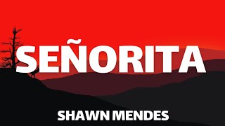 Shawn Mendes Camela Cabello  Senõrita Lyrics [upl. by Nednyl23]