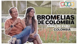 Bromelias de Colombia  Caso de éxito Zoho [upl. by Alleram]