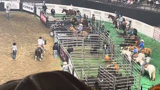 Kentucky Rodeo 2024 part 3 roping [upl. by Fugere]