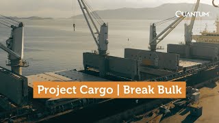 Project cargo  Break bulk vessel chartered by Quantum to import 14000 tons of products [upl. by Sharai]