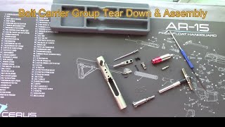 Disassembling An Ar15 Bolt Carrier Group Stepbystep Guide [upl. by Pazia]