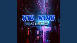 Qiu Niao Remix [upl. by Inaffit]