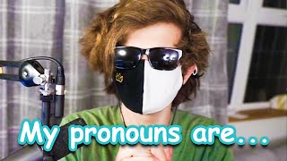 Ranboos Pronouns [upl. by Swanson43]