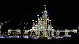 Disneys Christmas Parade  Christmas Castle 2015 [upl. by Auohc935]