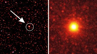 James Webb Telescopes CONCERNING Discovery About Betelgeuse Supernova 2024 [upl. by Aihsemat]