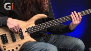 Guitar Interactive Elrick Expat eVolution 4String Fretless Bass Review [upl. by Charity]