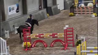 Commthunder van de zuuthoeve double clear jm masters 2024 oud Heverlee [upl. by Oak]