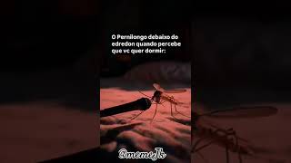 Pernilongo humor funny memes meme funnyvideo comedia fypシ゚viral fyp cute animals shorts [upl. by Ardnuassac]