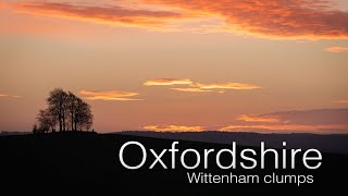 Landscape Photography at Wittenham Clumps Oxfordshire [upl. by Azerila475]