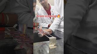 MBBS practical😃 2nd year MBBS life  Microbiology practical neetmotivation aiims shorts [upl. by Reagan]