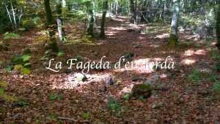 Un día en La Fageda den Jordà [upl. by Gaelan92]