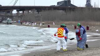 Oil spill on Lake Michigan [upl. by Aerdnod438]