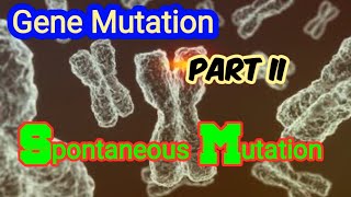 Spontaneous Mutation Depurination amp Deamination of DNA  Gene Mutation [upl. by Ahseyt]