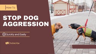 How to stop Dog Aggression quickly And easily  In a few steps [upl. by Meridel]