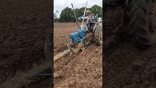 Ferguson FE35 Gold Belly Tractor at the Forest of Arden Ploughing Match Sunday 15th September 2024 [upl. by Lamond]