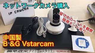 ネットワークカメラ購入 B＆G Vstarcam 留守中のペットを見守る [upl. by Born]