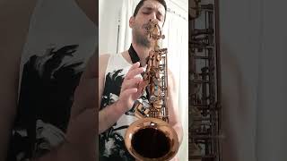 Playing P MauriatGrand Dreams 285 Alto Saxophone [upl. by Enylekcaj348]