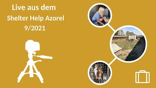 Live aus dem Shelter Help Azorel 12092021 [upl. by Adnahsat633]