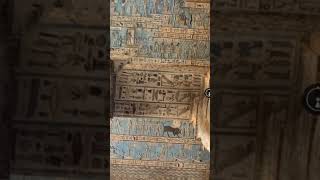 Dendera temple complex vlog vlogs history historia [upl. by Wilhelmina772]