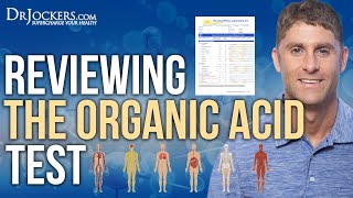 Reviewing the Organic Acid Test for Brain Gut Health amp Energy Levels [upl. by Zzaj]