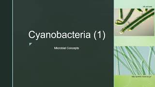 Cyanobacteria 1  Blue Green Algae Cell structure  Examples  Reproduction [upl. by Teerell]