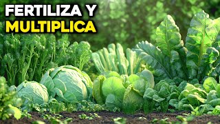 6 Fertilizantes Poderosos para Multiplicar tu Cosecha de Vegetales [upl. by Nerro]